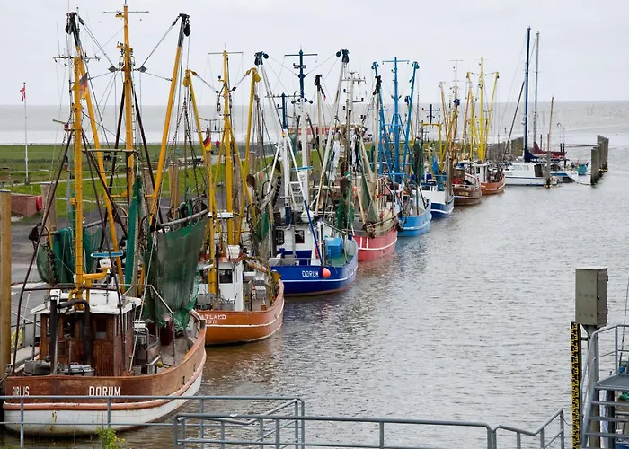 Besken بيت للعطل دورم نيوفيلد