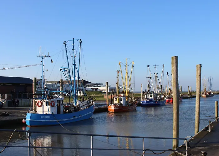 Besken بيت للعطل دورم نيوفيلد